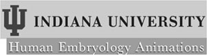 Indiana University Human Embryology Animations